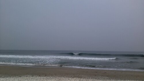 IMG_20140203_130635.jpg image