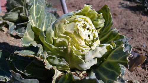 IMG_20140307_134728.jpg image