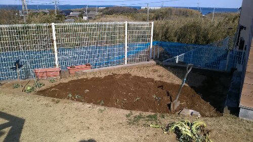 IMG_20140307_141426.jpg image