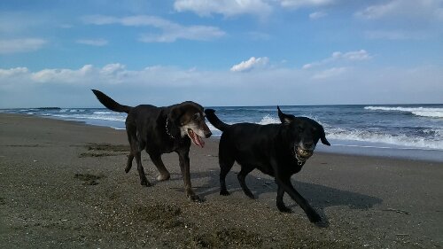 IMG_20140307_145521.jpg image