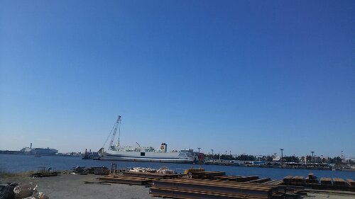 IMG_20140322_091149.jpg image