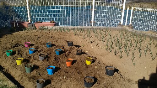 IMG_20140322_145723.jpg image