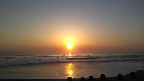 IMG_20140324_055109.jpg image