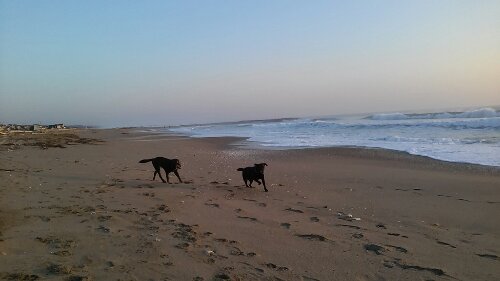 IMG_20140324_055830.jpg image