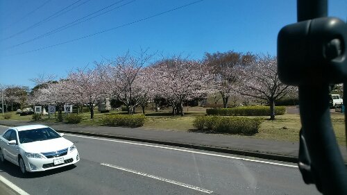 IMG_20140331_105522.jpg image