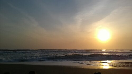 IMG_20140402_055821.jpg image