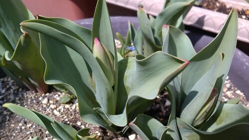 IMG_20140402_115411.jpg image