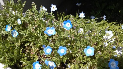 IMG_20140402_115442.jpg image