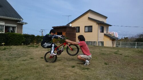 IMG_20140402_133609.jpg image