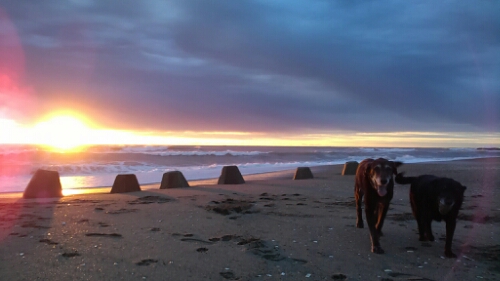 IMG_20140405_052849.jpg image