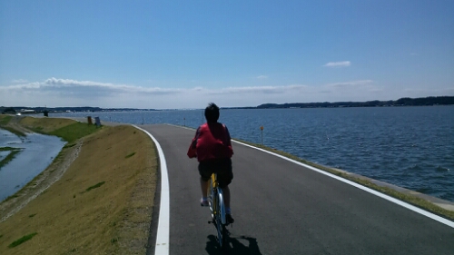 IMG_20140405_102449.jpg image