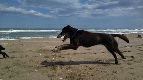 IMG_20140405_130607.jpg image