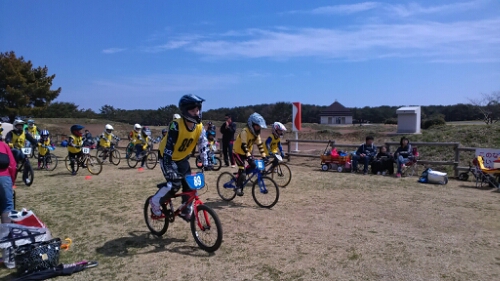 IMG_20140406_115840.jpg image