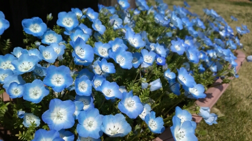 IMG_20140414_123414.jpg image