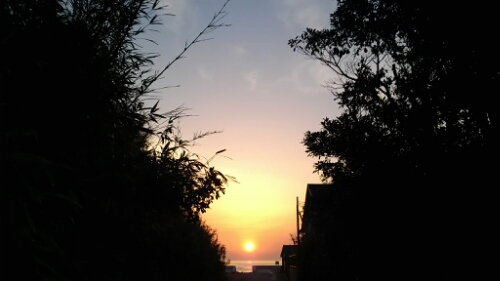 IMG_20140416_051447.jpg image