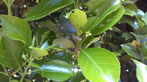 IMG_20140416_115450.jpg image