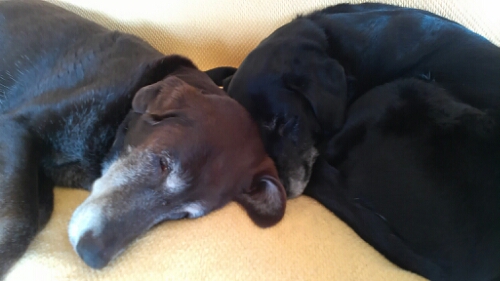 IMG_20140419_095354.jpg image