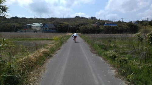 IMG_20140419_123642.jpg image