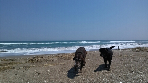 IMG_20140423_111924.jpg image