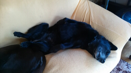 IMG_20140423_121449.jpg image