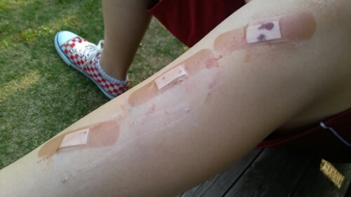 IMG_20140423_155208.jpg image