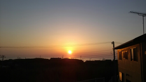 IMG_20140427_050513.jpg image