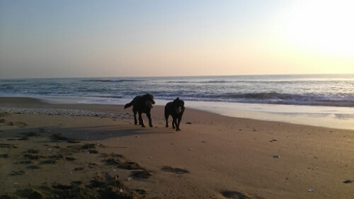 IMG_20140427_052909.jpg image