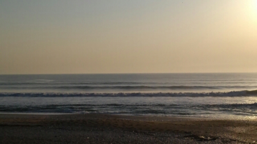 IMG_20140427_053918.jpg image