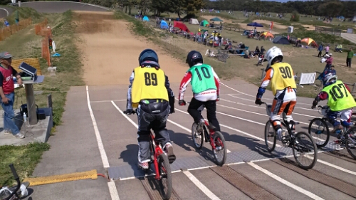 IMG_20140427_133356.jpg image