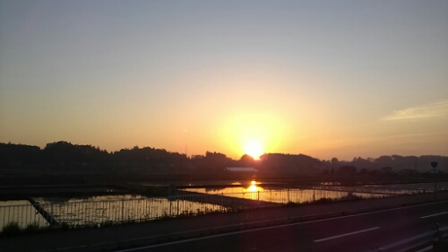 IMG_20140507_045811.jpg image