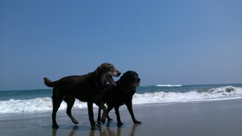 IMG_20140509_115155.jpg image