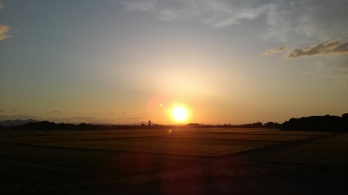 IMG_20140510_045659.jpg image