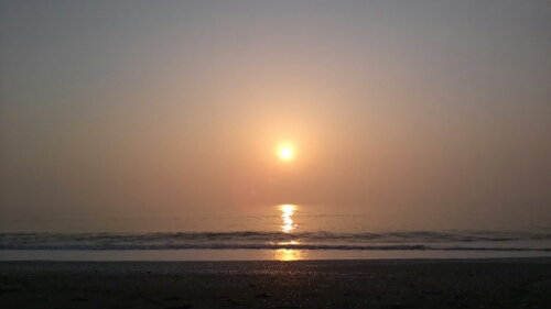 IMG_20140601_050140.jpg image