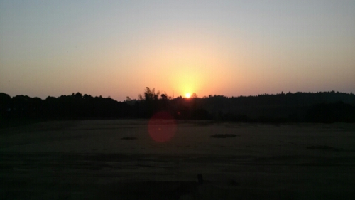 IMG_20140602_044102.jpg image