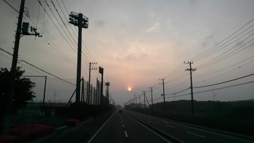 IMG_20140604_045141.jpg image