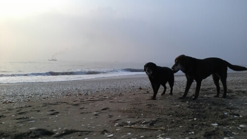 IMG_20140604_054342.jpg image