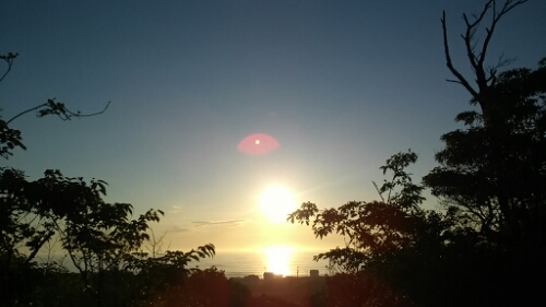 IMG_20140614_045702.jpg image