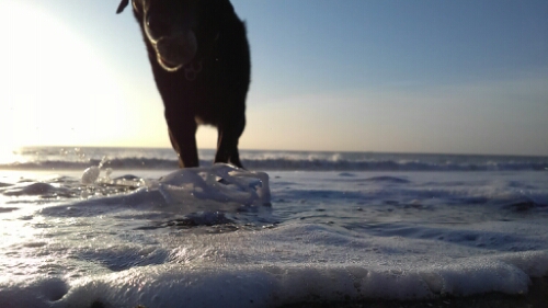 IMG_20140615_050832.jpg image