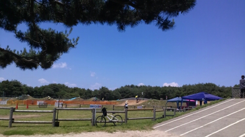 IMG_20140615_121111.jpg image