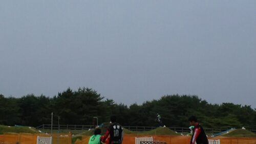 IMG_20140621_115036.jpg image