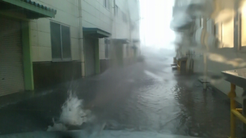 IMG_20140625_184037.jpg image