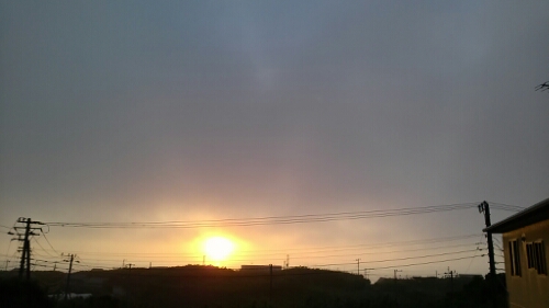 IMG_20140706_043806.jpg image