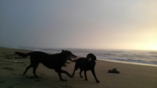 IMG_20140706_045759.jpg image