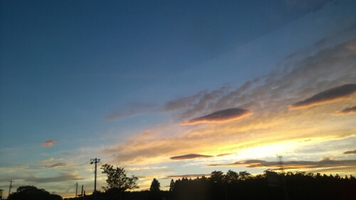 IMG_20140711_190126.jpg image