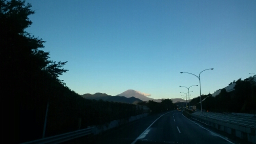 IMG_20141014_061154.jpg image