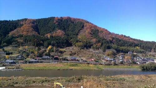 IMG_20141127_110103.jpg image