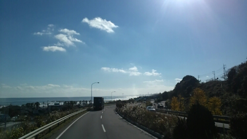 IMG_20141127_120900.jpg image