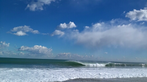 IMG_20141217_120922.jpg image