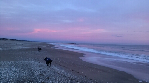 IMG_20150104_064836.jpg image