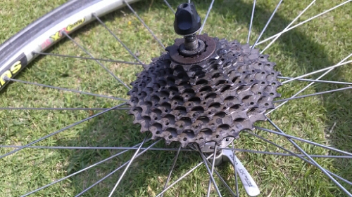 IMG_20150517_084901.jpg image